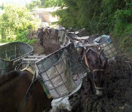 福田区马帮搬运