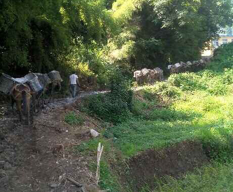 福田区马帮运输队