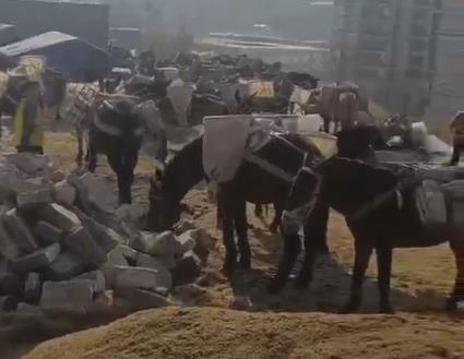 福田区马队山路运输
