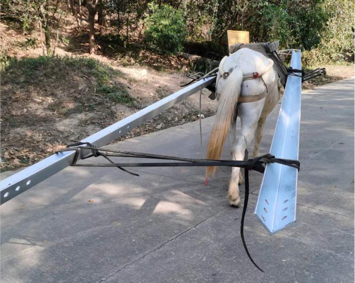 福田区马队搬运