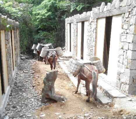 福田区马队运输队