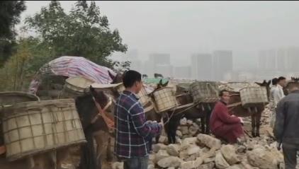 福田区骡马山区运输