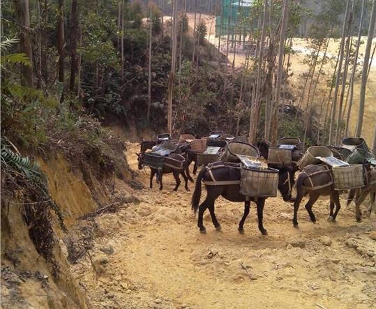 福田区马帮山路运输