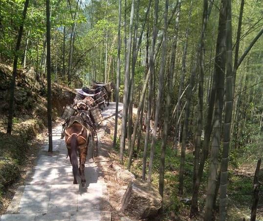 福田区山路马队运输