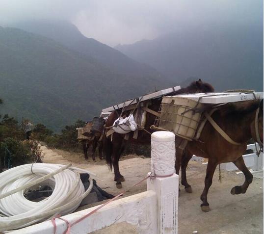 福田区山区马帮运输