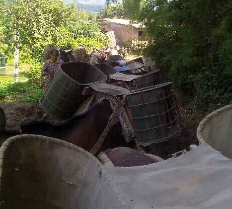 福田区骡马运输